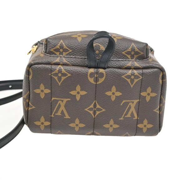LOUIS VUITTON Palm Spring PM Backpack Bag Monogram Leather Brown M41560 27ZA122 main image 6